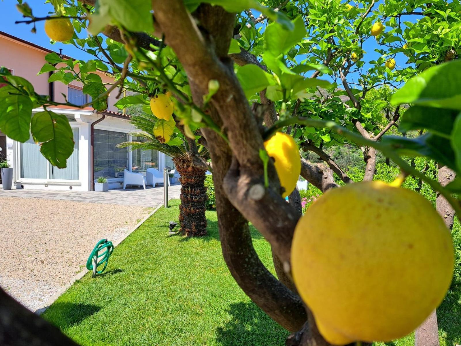 B&B Capo Al Piano Марчиана-Марина Экстерьер фото