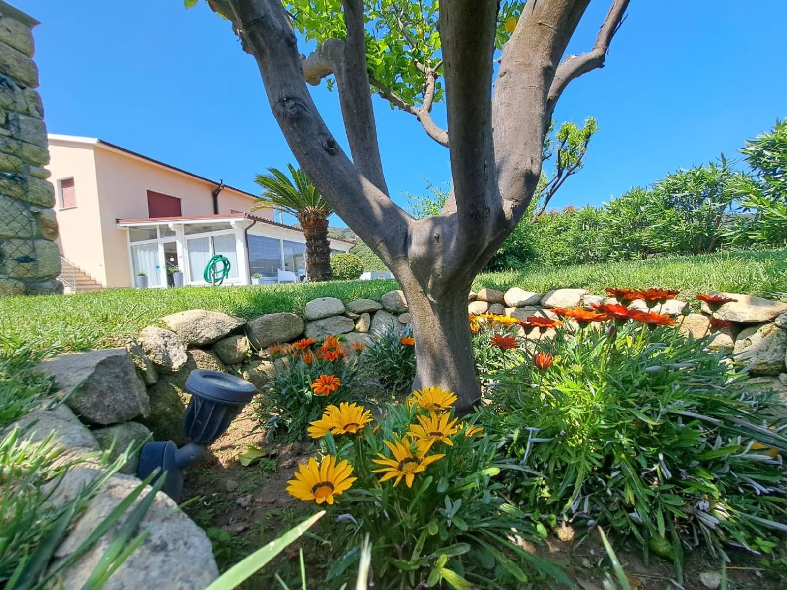 B&B Capo Al Piano Марчиана-Марина Экстерьер фото