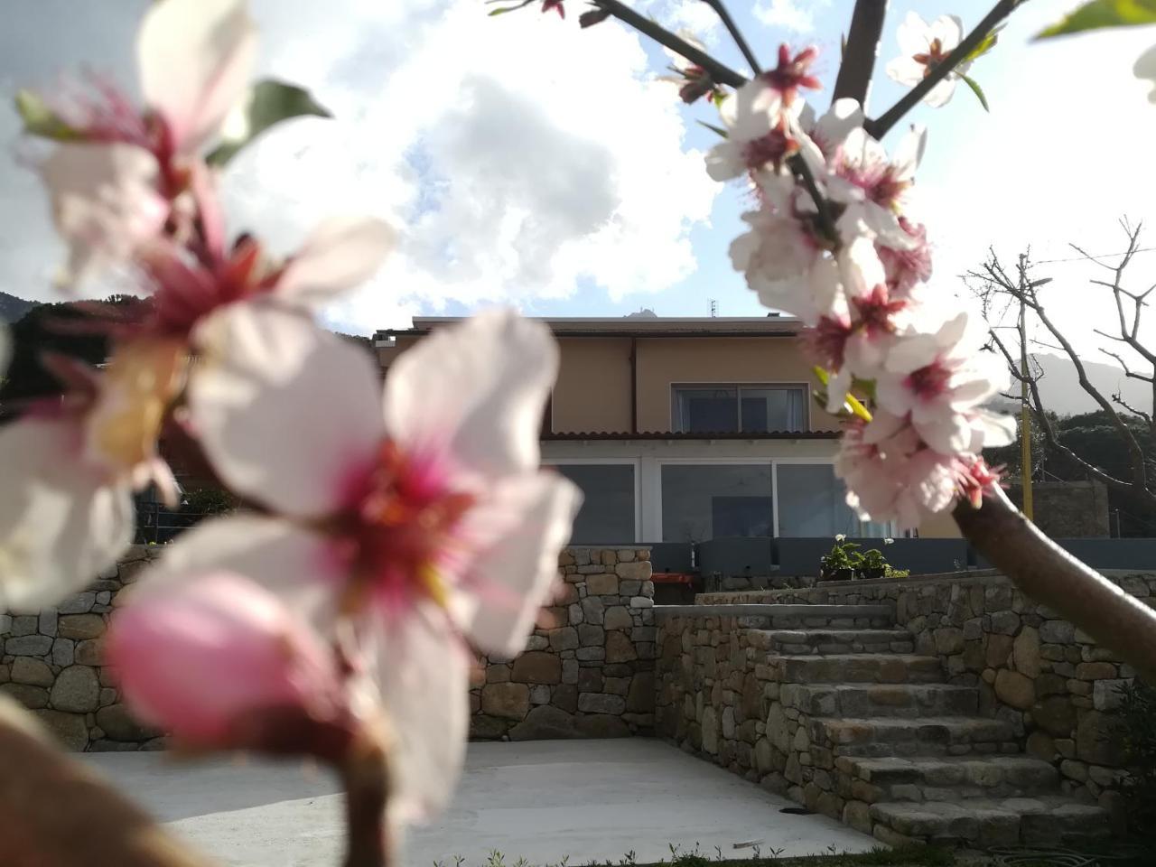 B&B Capo Al Piano Марчиана-Марина Экстерьер фото